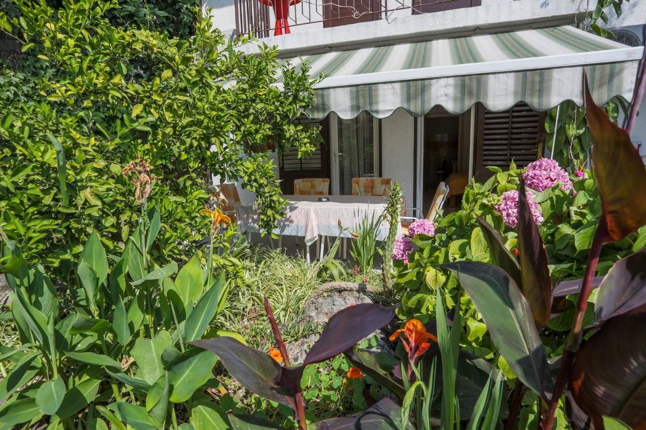 Проживание в семье Sofija Apartments Свети-Стефан-8